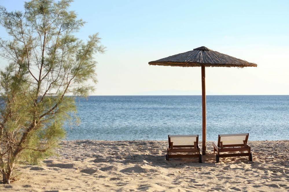 Aithra Apartments & Suites Gavrio Dış mekan fotoğraf